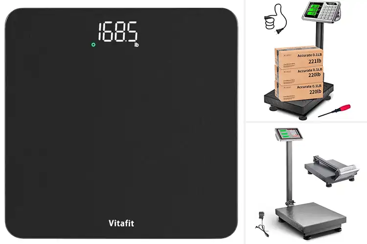 Detailed view of Best 0.1 Pound Weight Accuracy