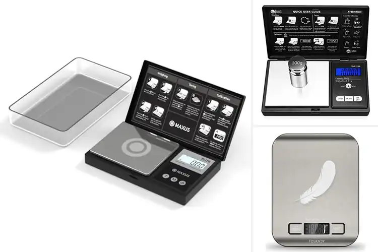 Detailed view of Best Compact Lightweight Scale