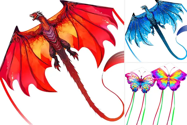 Detailed view of Best Complete Package Kites