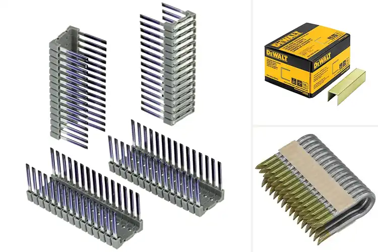 Detailed view of Best DEWALT Staples: Top 10 Picks for Your Projects