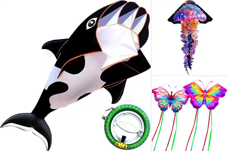 Detailed view of Best Fabric Quality Kites: Discover Durable Fun Today