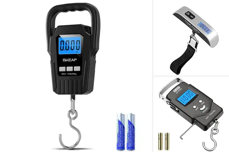 Detailed view of Best Handheld Scales