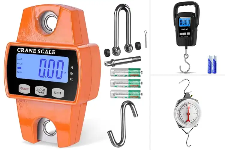 Detailed view of Best Hanging Scales: Top 10 Picks for Durability & Accuracy