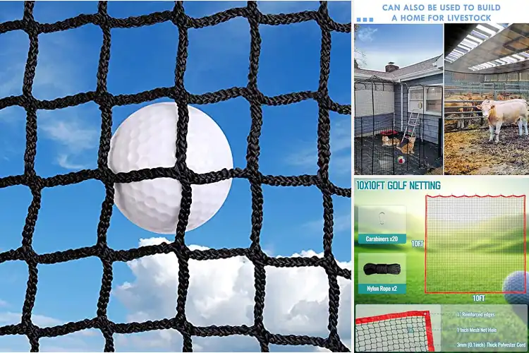 Detailed view of Best High-Impact Practice Nets