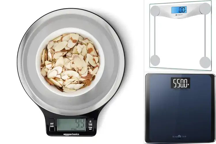 Detailed view of Best Instant Read Digital Scales