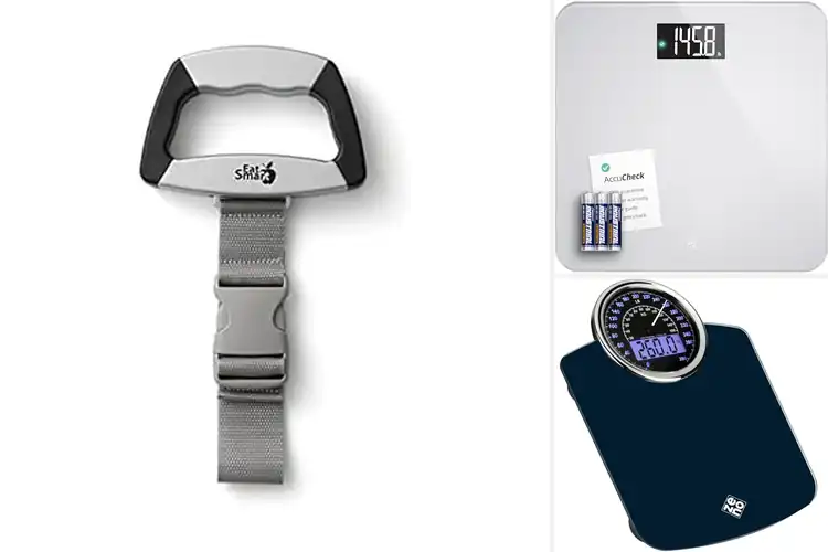 Detailed view of Best Instant Read Scales