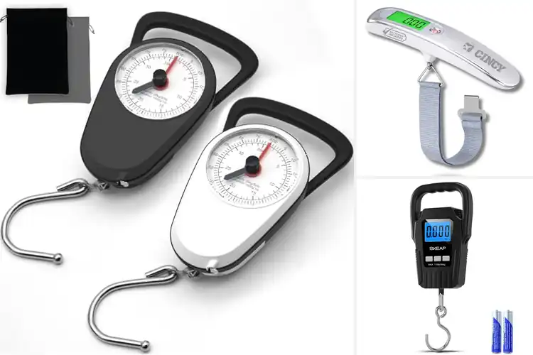 Detailed view of Best Luggage Scale Consistent Read