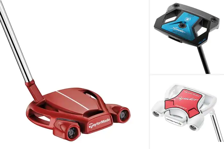 Detailed view of Best Spider Putters