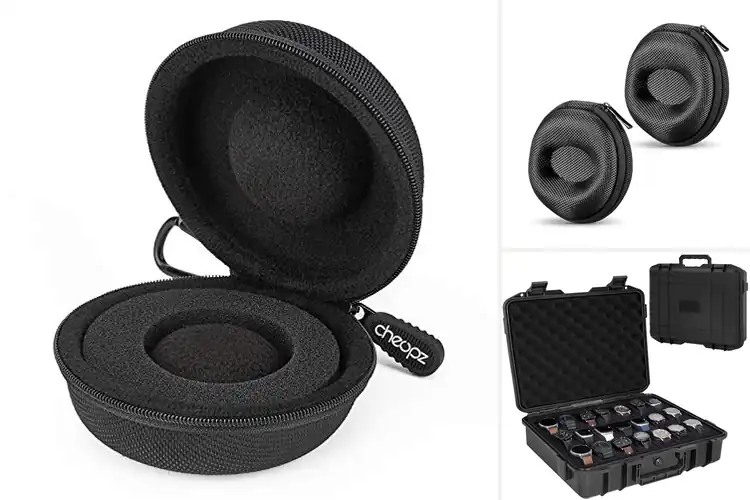 Detailed view of Best Watch Carrying Cases